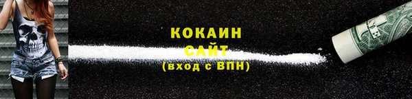прущие грибы Верхний Тагил