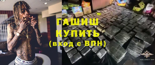 прущие грибы Верхний Тагил