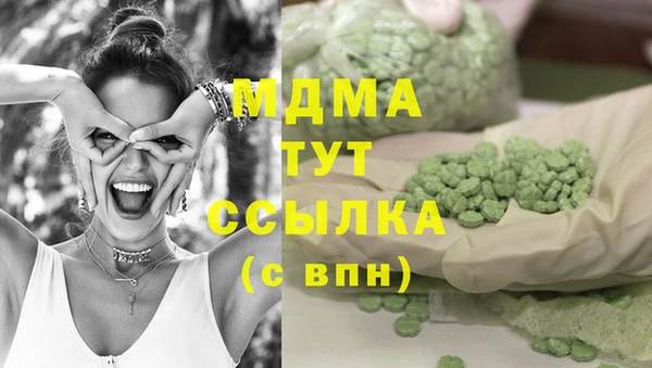 прущие грибы Верхний Тагил