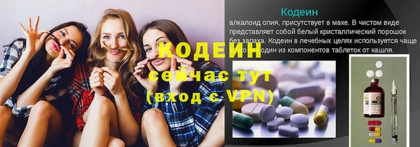прущие грибы Верхний Тагил