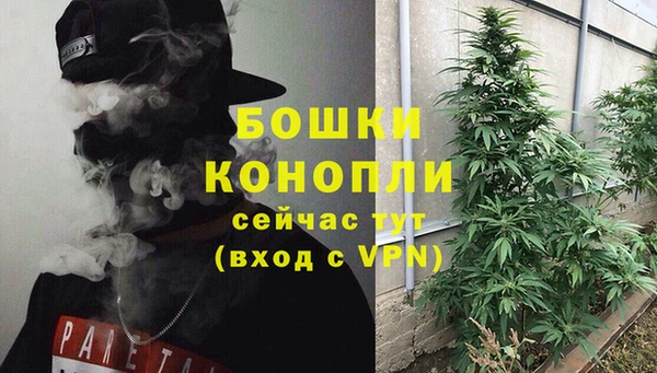 прущая мука Верея