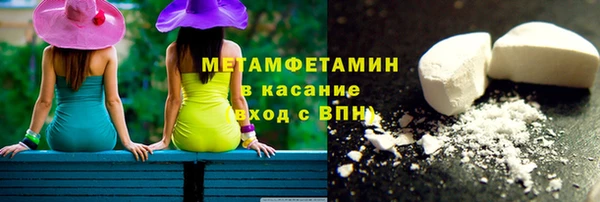 прущие грибы Верхний Тагил