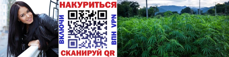 Купить где  Елизаветинская  Бошки Шишки OG Kush 